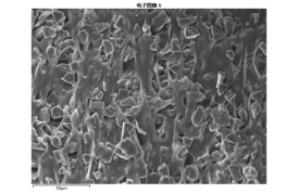 含硼PP板扫描电镜图像